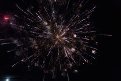 260829_BB_Sommerfest-209